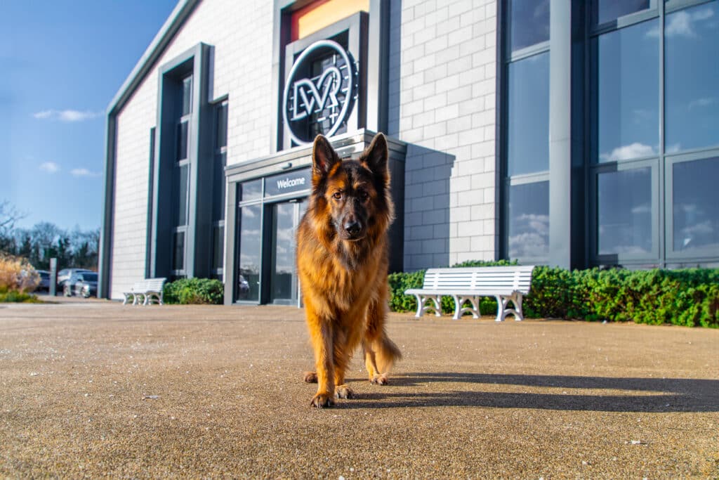 Skyla - her cancer battle